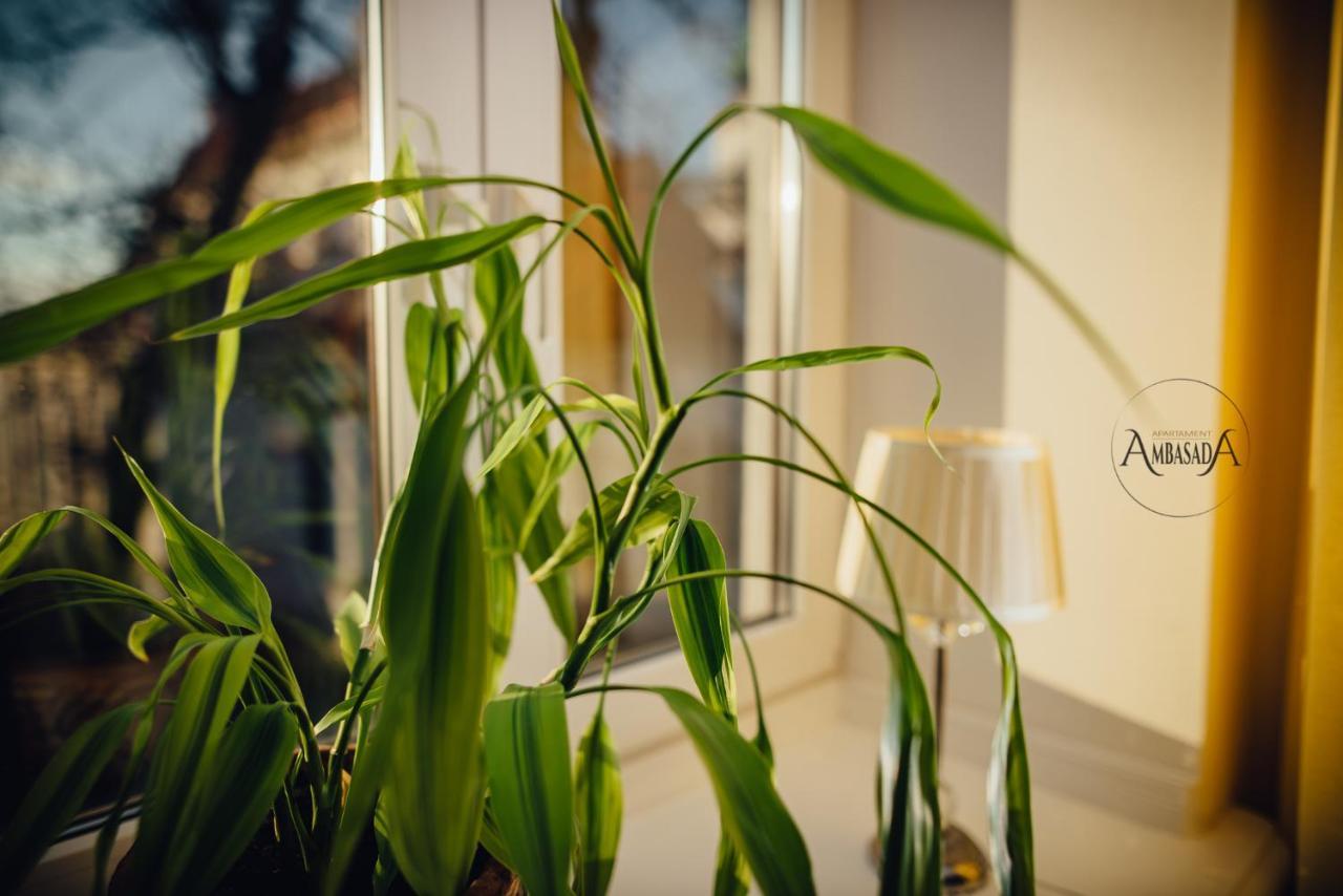 Zamość Apartament Ambasada מראה חיצוני תמונה