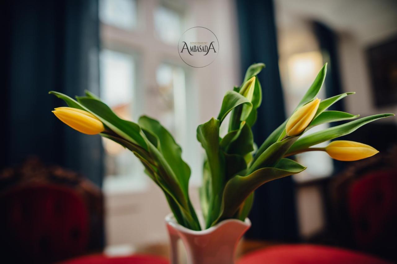 Zamość Apartament Ambasada מראה חיצוני תמונה