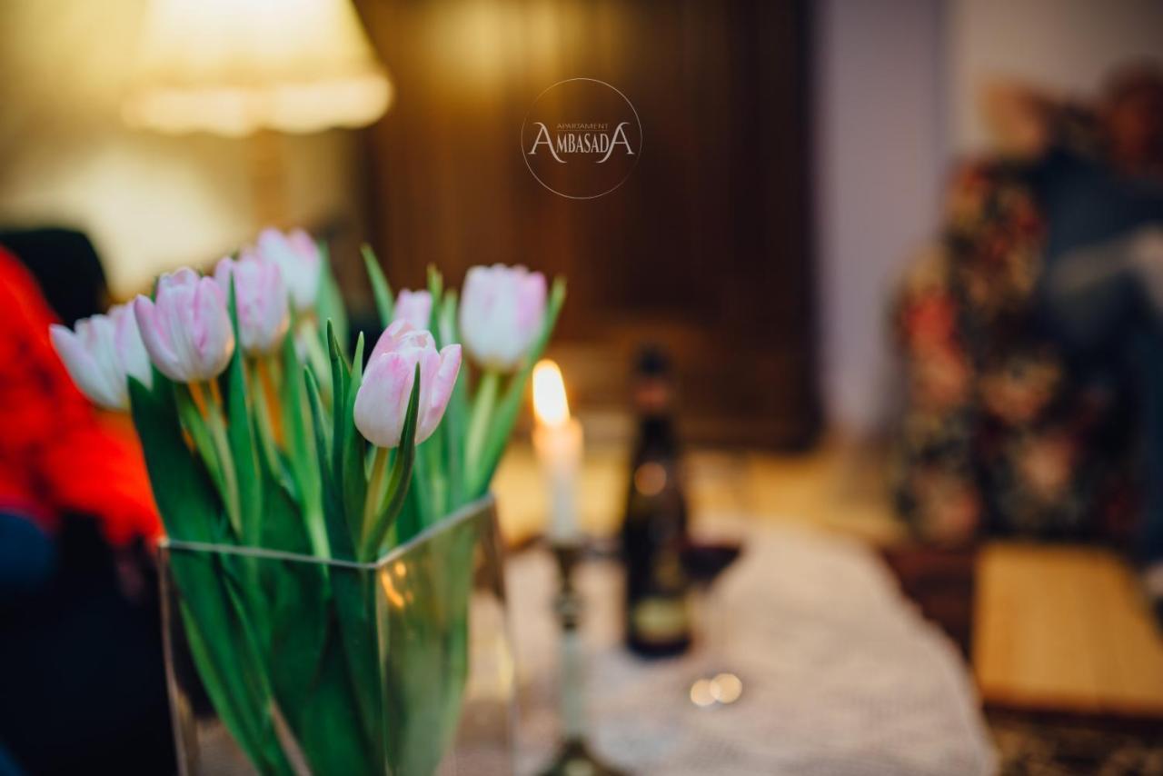 Zamość Apartament Ambasada מראה חיצוני תמונה